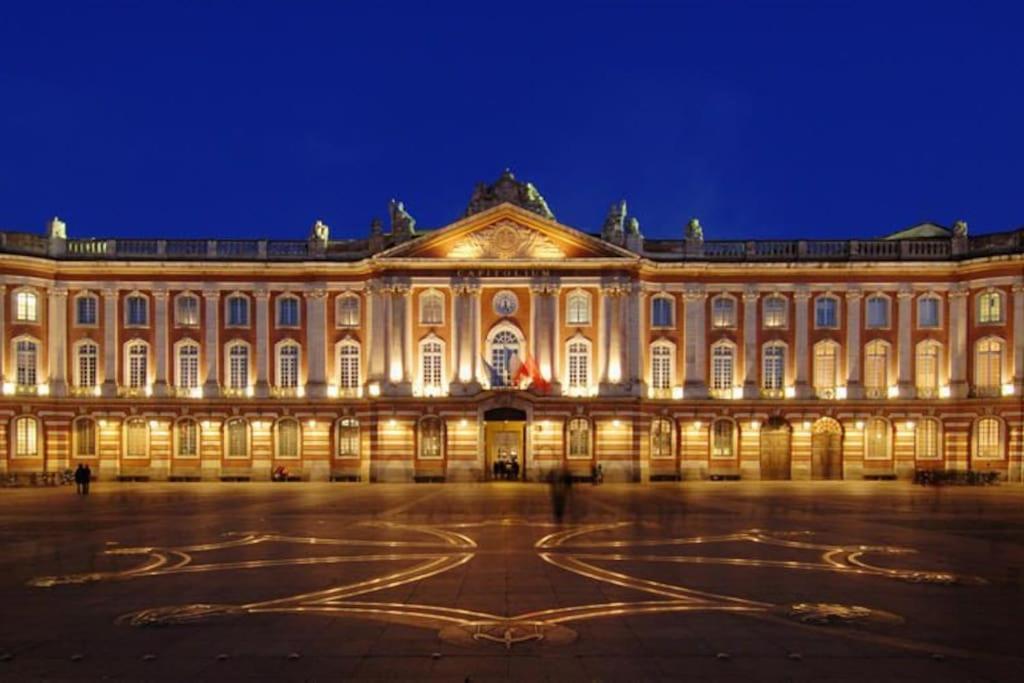 Ferienwohnung Au Gout Du Jour Climatise Toulouse Exterior foto